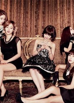 T-ara成员 韩国女子流行演唱组合T-ara图片